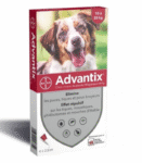 Elanco Advantix 10 - 25 Kg Köpek Damla 4 Tüp